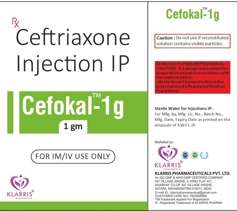 CEFOKAL 1 GM